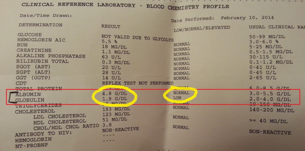 My Blood Work Protein Levels Calorie Warrior